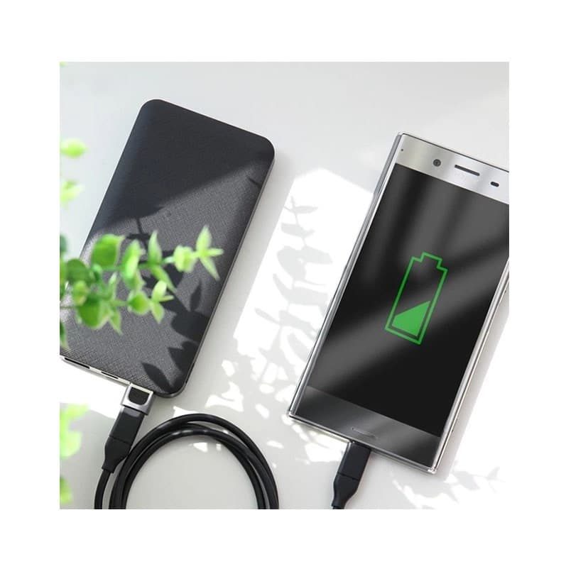 Rock - RCB0610 Adapter USB Typ-C auf USB-A, Grau – 4