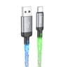 HOCO Shine charging cable USB-C to USB (U112) green/blue