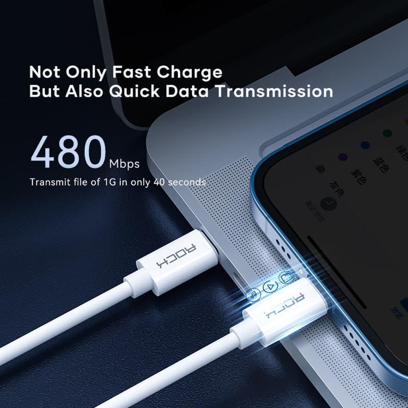 ROCK - Multifunktionales Aufbewahrungs-Set - USB-C PD Kabel (60W), SIM-Fach und Adapter – 4
