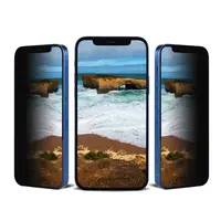iPhone 12 / iPhone 12 Pro - Tempered Glass / Panzerglas - Privacy – Bild 1