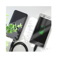 Rock - RCB0610 Adapter USB Type-C to USB-A, gray – Bild 4