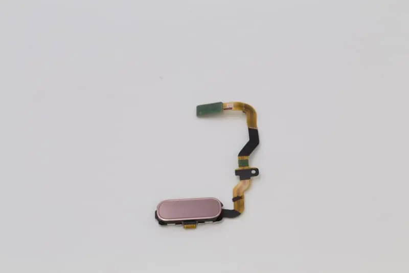 Samsung Galaxy S7 Homebutton pine, new, original