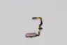 Samsung Galaxy S7 Homebutton pine, new, original
